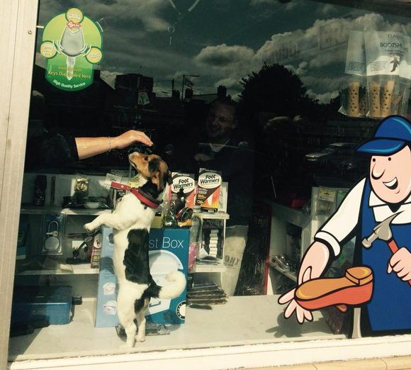 APECS Key cutting Belfast Finakeys Locksmith Belfast & Key Cutting